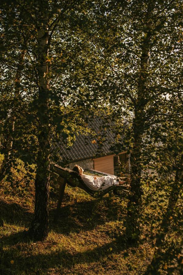 Eco Chalet Astramontana Tolmin Luaran gambar
